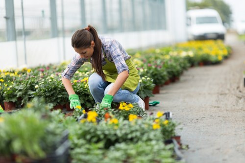 Gardeners Downham improving a healthy garden in spring