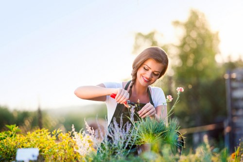 Image showing a customer service complaint review for gardening work