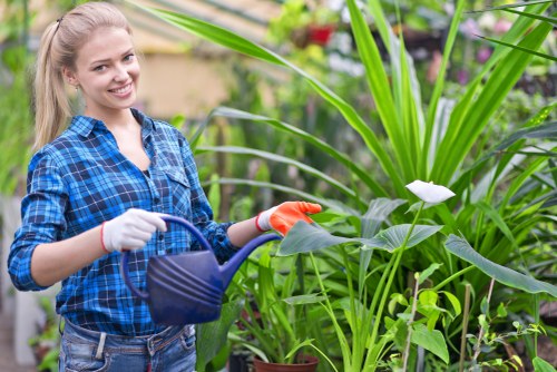 Garden maintenance in Downham with a neatly cut lawn and trimmed borders