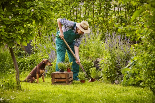 Healthy green lawn care in Downham with neat grass and fresh growth