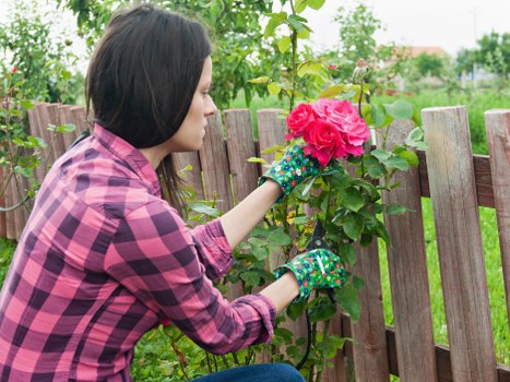 Gardeners Downham secure transaction process with trusted payment methods