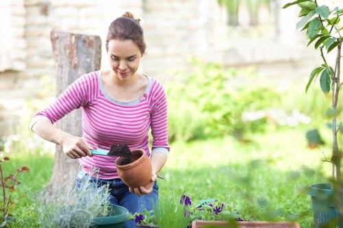 Autumn lawn care in Downham with leaf clearance and grass preparation