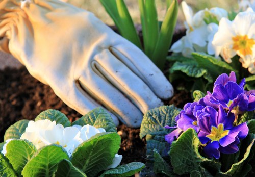 Local transfer station handling green waste and recyclable materials