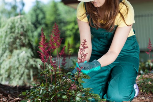 Professional garden maintenance in Downham including hedge trimming and weed control