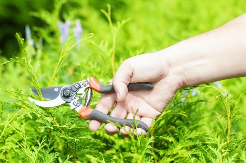 Responsible garden waste removal during garden clearance in Downham