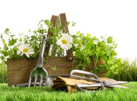 Accessibility review and improvement for the Gardeners Downham site