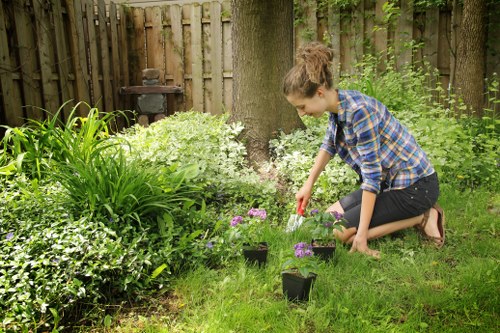 Contact route for accessibility requests on the Gardeners Downham website