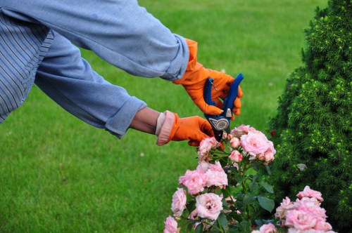 Inclusive local gardening website content designed for assistive technology