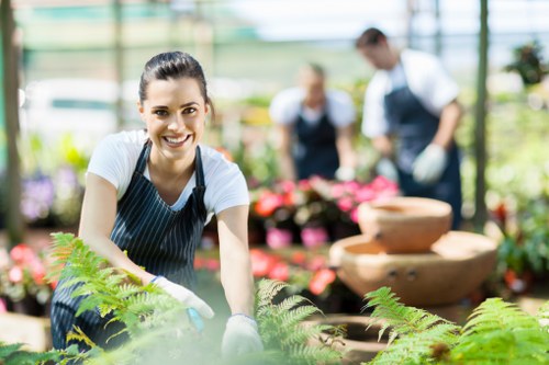 Spring garden maintenance in Downham preparing lawns and borders for growth
